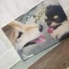 キャンバスパネル